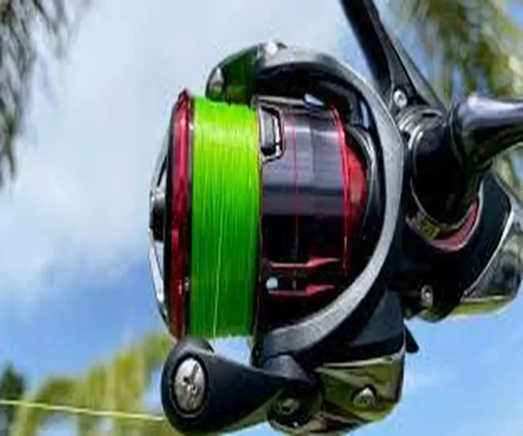 How to Choose a Fishing Reel