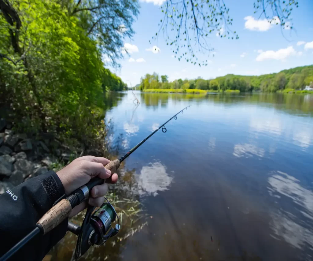 How to Get Started Fishing